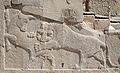 The lion attacking the bull (unicorn) in bas-relief at Persepolis. A symbol Zoroastrian Nowruz. In day of a spring equinox power of eternally fighting bull (personifying the Earth), and a lion (personifying the Sun), are equal (Though lions were not a symbol of royalty in the achamenid era and were in fact a game to be hunted).