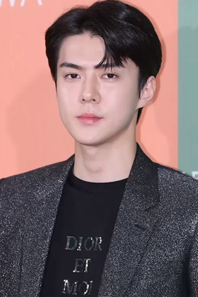 File:Oh Se-hun at Rimowa Essential Poly Color Collection Launch on July 5, 2019.png