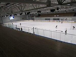 OneIce Arena. Каток