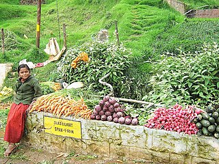 బాల_కార్మికులు