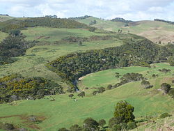 Opotoru River in the lower part of its valley.JPG