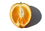 Vignette pour Navel (orange)