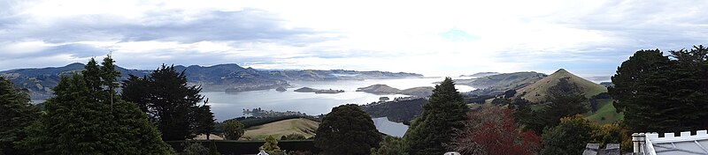 Otago Harbour panorama.jpg