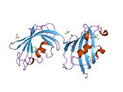 PDB 1q1c EBI.jpg