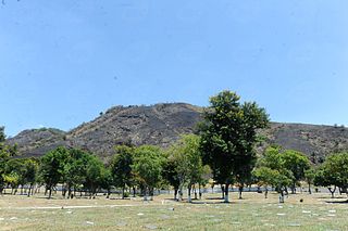 <span class="mw-page-title-main">Pedra Branca State Park</span>