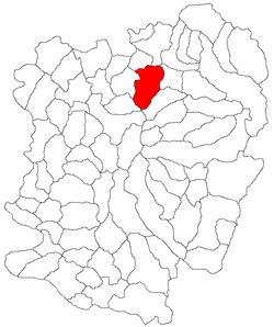 Location in Caraş-Severin County
