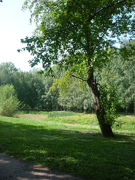 File:Park dedicated to 50 years of Komsomol 02 Aug 2012 take 03.JPG