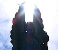 Thumbnail for File:Peace statue, Brighton seafront. - geograph.org.uk - 357469.jpg