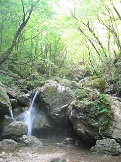 Borovniščica river in Slovenia