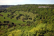 Склоны, ранее покрытые виноградной лозой