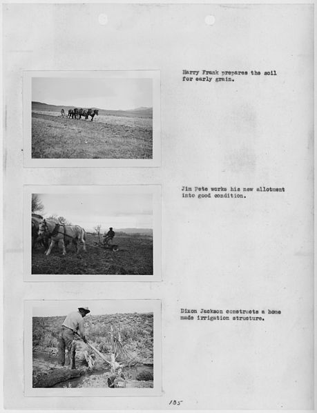 File:Photographs, with captions, of agricultural activities at Yomba Reservation, Nevada, from Carson Agency Annual... - NARA - 296165.jpg