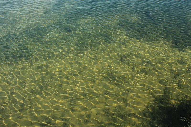 File:Pièce d'eau des Suisses le 11 septembre 2015 - 068.jpg