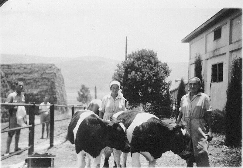 File:PikiWiki Israel 5962 Ein harod dairy.jpg