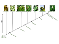 Image 30Cladogram of plant evolution (from Evolutionary history of plants)