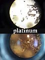 Platinum microscopic Picture2.jpg