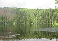 Čeština: Prášilské jezero, součást národního parku Šumava, okres Klatovy English: Lake "Prášilské jezero" - in national park Šumava in Klatovy District