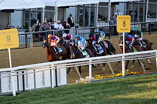 Preakness Stakes American stakes race for Thoroughbreds, part of the Triple Crown