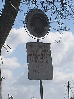 Historical marker at the Poui tree (Tabebuia sp.) Prince Albert planted in 1880. Princestownpoui.jpg