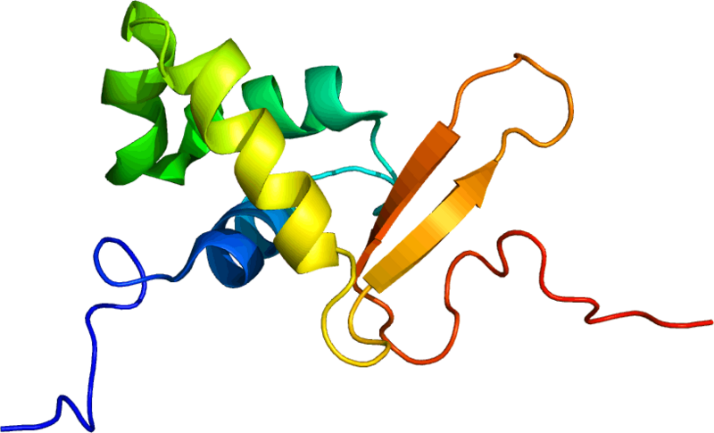 File:Protein FOXO3 PDB 2K86.png