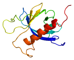 Протеин PRKD3 PDB 2d9z.png