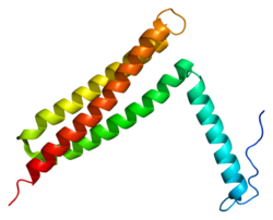 Ақуыз PTK2 PDB 1k04.png