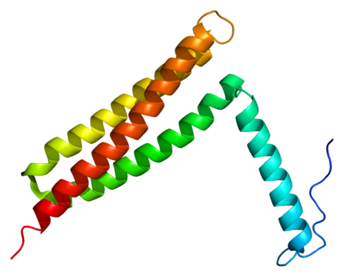 Protein PTK2 PDB 1k04.png