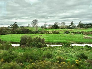 Puniu River River in New Zealand