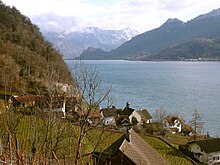 Quinten am Ufer des Walensees. Dank des Föhns ist es hier oft so warm wie auf der Alpensüdseite.[2]