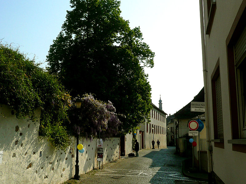 File:Rüdesheim Oberstrasse 10575.jpg