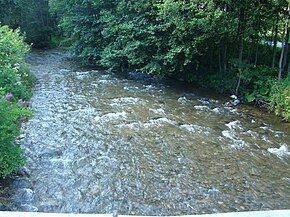 Râul Iara la Moara de Pădure