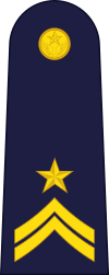 Flight Sergeant 2nd Class