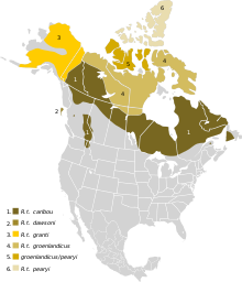 Rangifer tarandus Map NA.svg