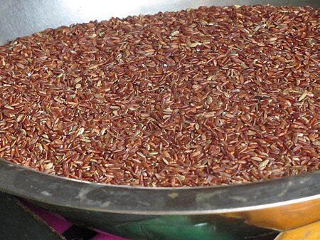 Tập_tin:Rice,_red-rice,_AIVANAM-like.JPG