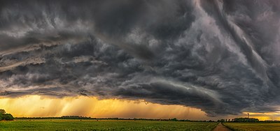 Formasi awan di Varbla, Estonia. Ini merupakan awan arcus, awan horizontal rendah yang biasanya muncul sebagai aksesoris dari awan cumulonimbus.