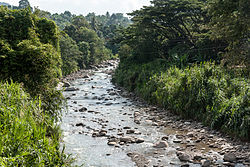 RiversOfSabah SungaiLiwagu-02.jpg