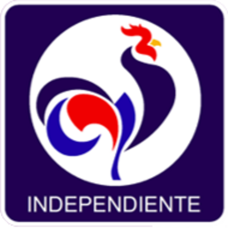 Fail:Roberto Gonzalez Independiente.png