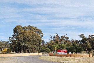 <span class="mw-page-title-main">Northcote Farm School</span>