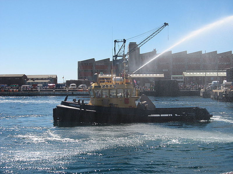 File:SA Navy Tug Tshukudu.JPG