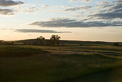 Сангердің көрінісі