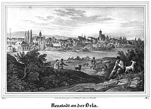 Ansicht von Neustadt an der Orla um 1849