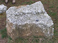 Skolithos from Krakow am See, Germany. Scolithos1.JPG