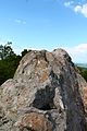 Sharapana rocks Bryastovo Mechkovetz Rhodopa Mountains Bulgaria 03.jpg