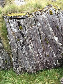 An outcrop of hornfels at Sinen Gill Sinen Gill 15.jpg