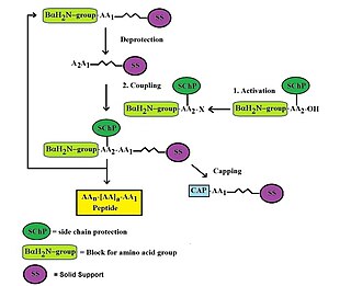 <span class="mw-page-title-main">Custom peptide synthesis</span>