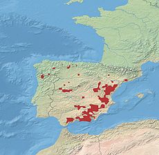 Červeně vyznačené rozšíření kozorožců iberských