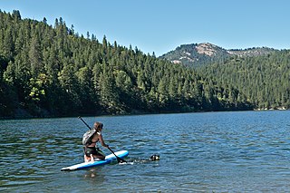 <span class="mw-page-title-main">Paddleboarding</span> Water sport