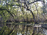 St. Johns River