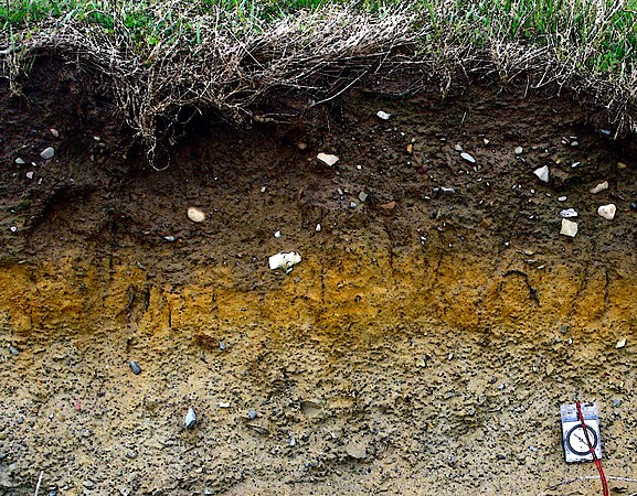 Layers of soil in Ireland. Dark brown soil usually contains a high amount of decayed organic matter.