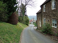 Pemandangan jalan sempit dengan raod dengan rumah-rumah di kanan dan pohon-pohon di sebelah kiri.