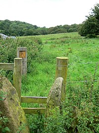 Stein- und Holzpfosten - geograph.org.uk - 941241.jpg